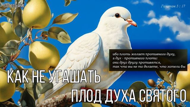 Как не угашать плод Духа Святого смотреть онлайн