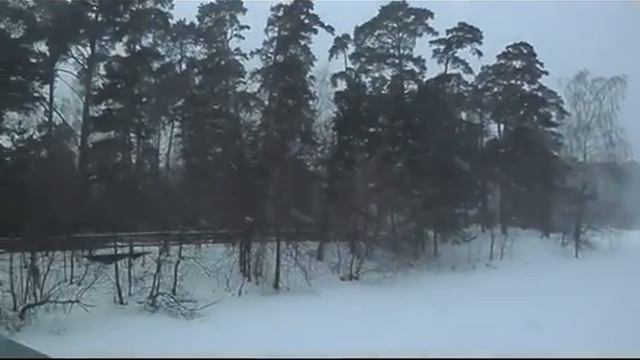 Метель и мощный снегопад в Москве 26.01.2019 смотреть онлайн