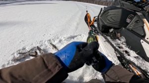 СНОВА НОВАЯ РЕКА | В ПОИСКАХ ХАРИУСА |СУХАЯ ТУНГУСКА