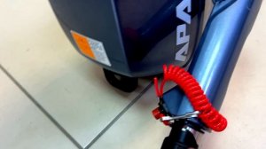 Трешка, которая приятно удивила! Не самый адекватный тест драйв лодочного мотора APACHE 3 л.с.