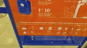 Калибратор ручной клади Аэрофлота в Шереметьево, терминал Е