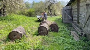 Весна мчится. Распахал целину для огорода. Моя жизнь на уединённом хуторе #хочувдеревню #хутор
