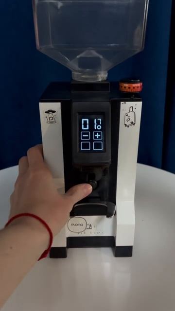 24 августа 2024 г. смотреть онлайн