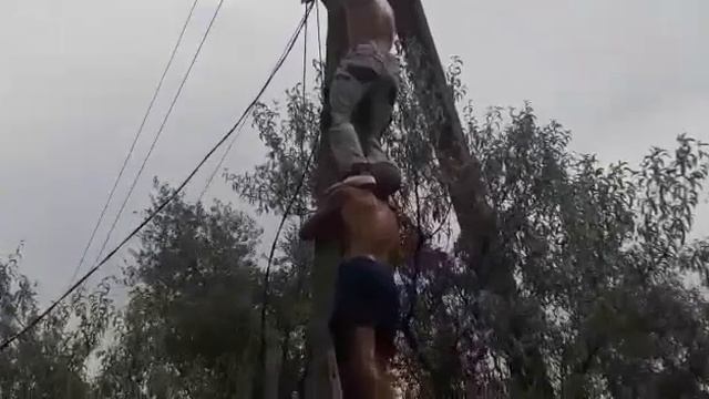 Электробит