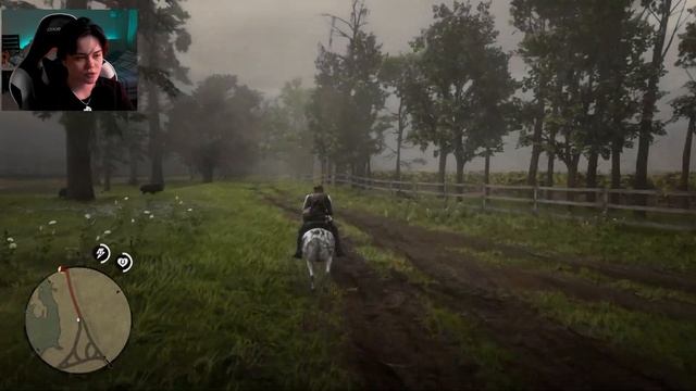 СТРИМ ⇒ Red Dead Redemption 2 #17