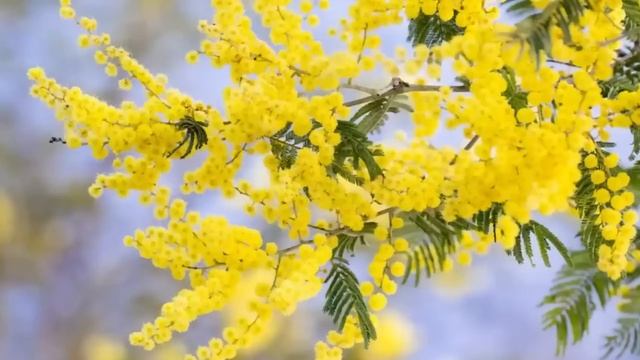 Интересные истории смотреть онлайн