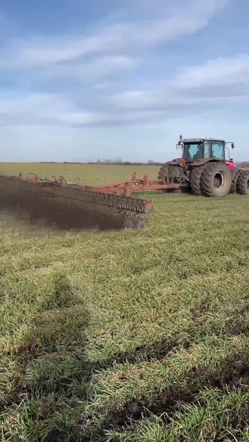 Ротационная борона #africahouse #агротехнологии #farming смотреть онлайн