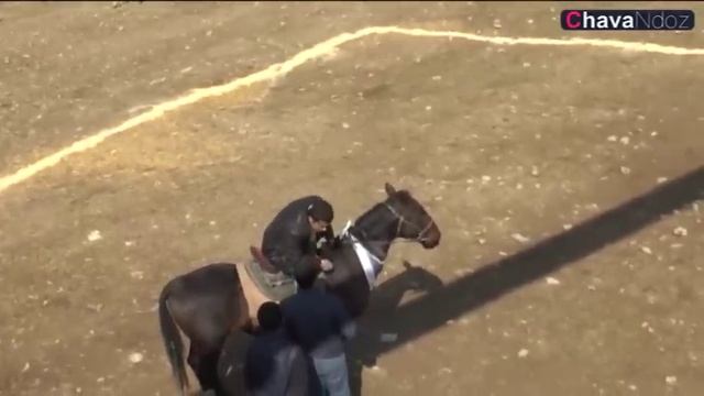 05 03 2017 Ulash Rayis Quruqsoyda Ko'pkari 1 Qisim смотреть онлайн