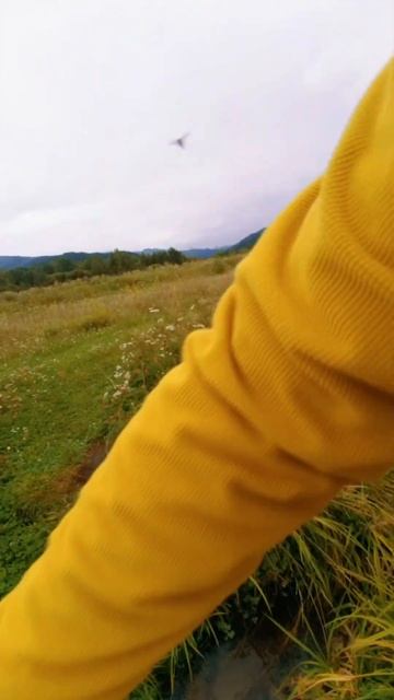 вело прогулка после работы #видео #юмор #природа смотреть онлайн