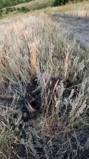 Удобно ли на поле искать советские монеты с помощью ме смотреть онлайн