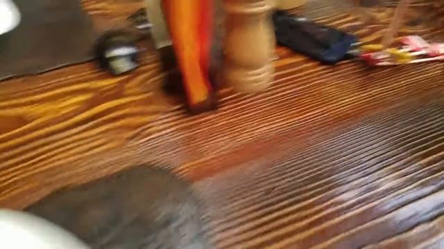 Упитанный Енот в Смоленске. Очень вкусно! смотреть онлайн