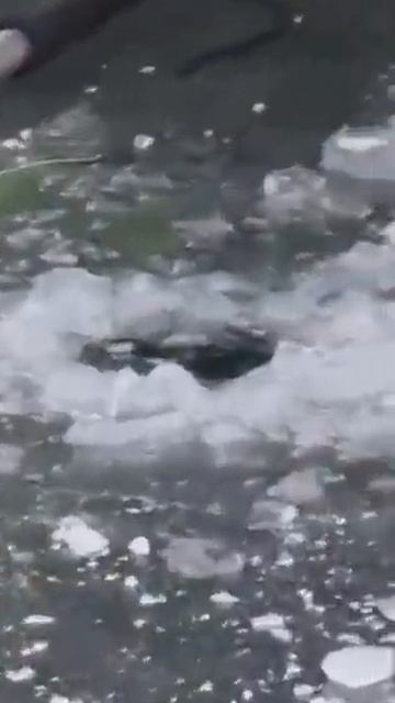 Ледостав на реках Самарской области. Рыбалка по перволедью. Толщина льда в затоне. смотреть онлайн