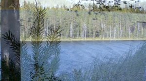 Дикие ламбины. Щука на спиннинг и самоловки. День второй.