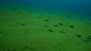 Ловля хариуса на Байкале. Подводные съемки