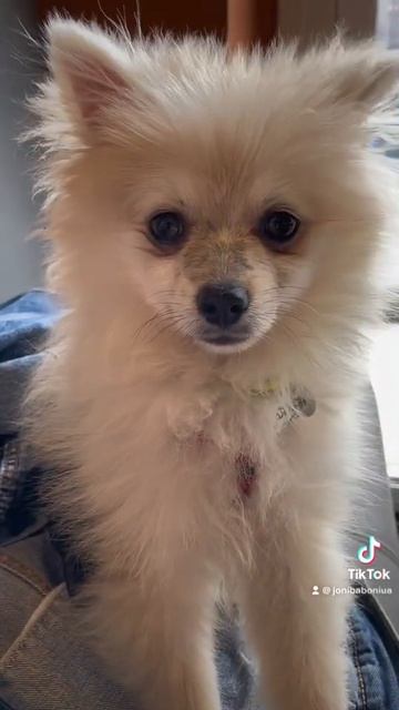 Доброе утро мир 🌍