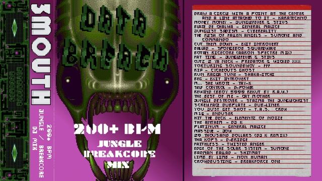 DATA BREACH 200+ BPM JUNGLE BREAKCORE MIX