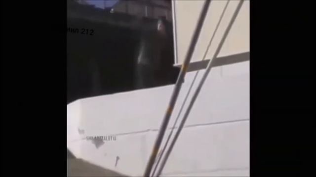 Приколы с Неграми и гробом смотреть онлайн