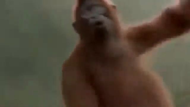 зверопой в реальной жизни смотреть онлайн