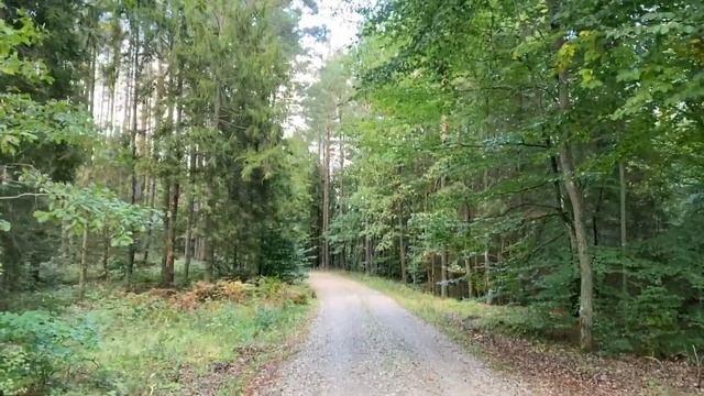 Gerber Ripstop 2 подарок жены ) смотреть онлайн