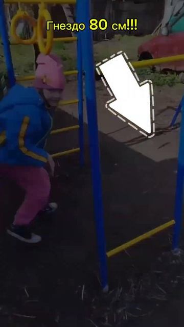 Детская площадка ( уход и обслуживание )