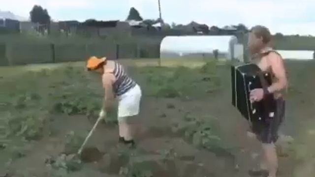 Обработка огорода - прикол смотреть онлайн