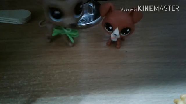 Клип . Мой кот любит хип хоп