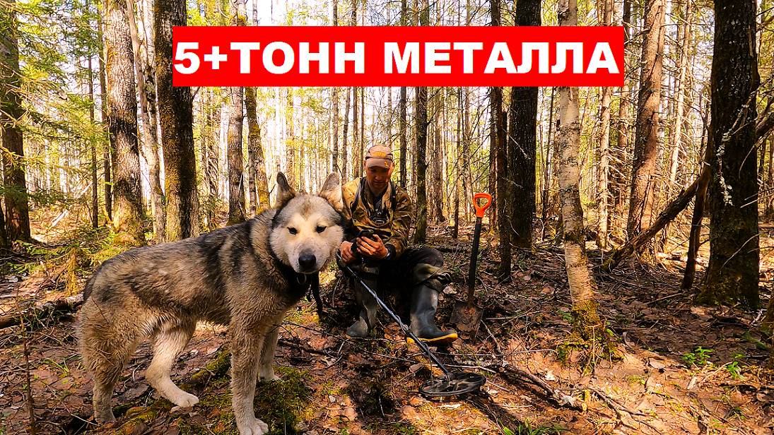 Рельсы вдоль и поперёк! 5+ ТОНН МЕТАЛЛОЛОМА Нашёл очень богатый металлом ус УЖД смотреть онлайн