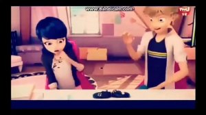 Клип Ты пчела я пчеловод ¦ Леди баг Супер кот!