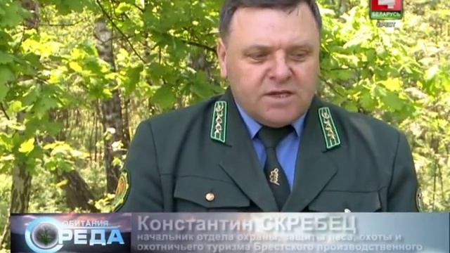 Среда обитания 30-05-16 смотреть онлайн