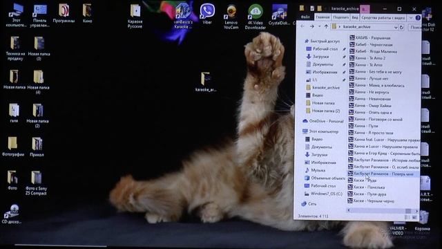 Караоке с флешки. Караоке для компьютера.