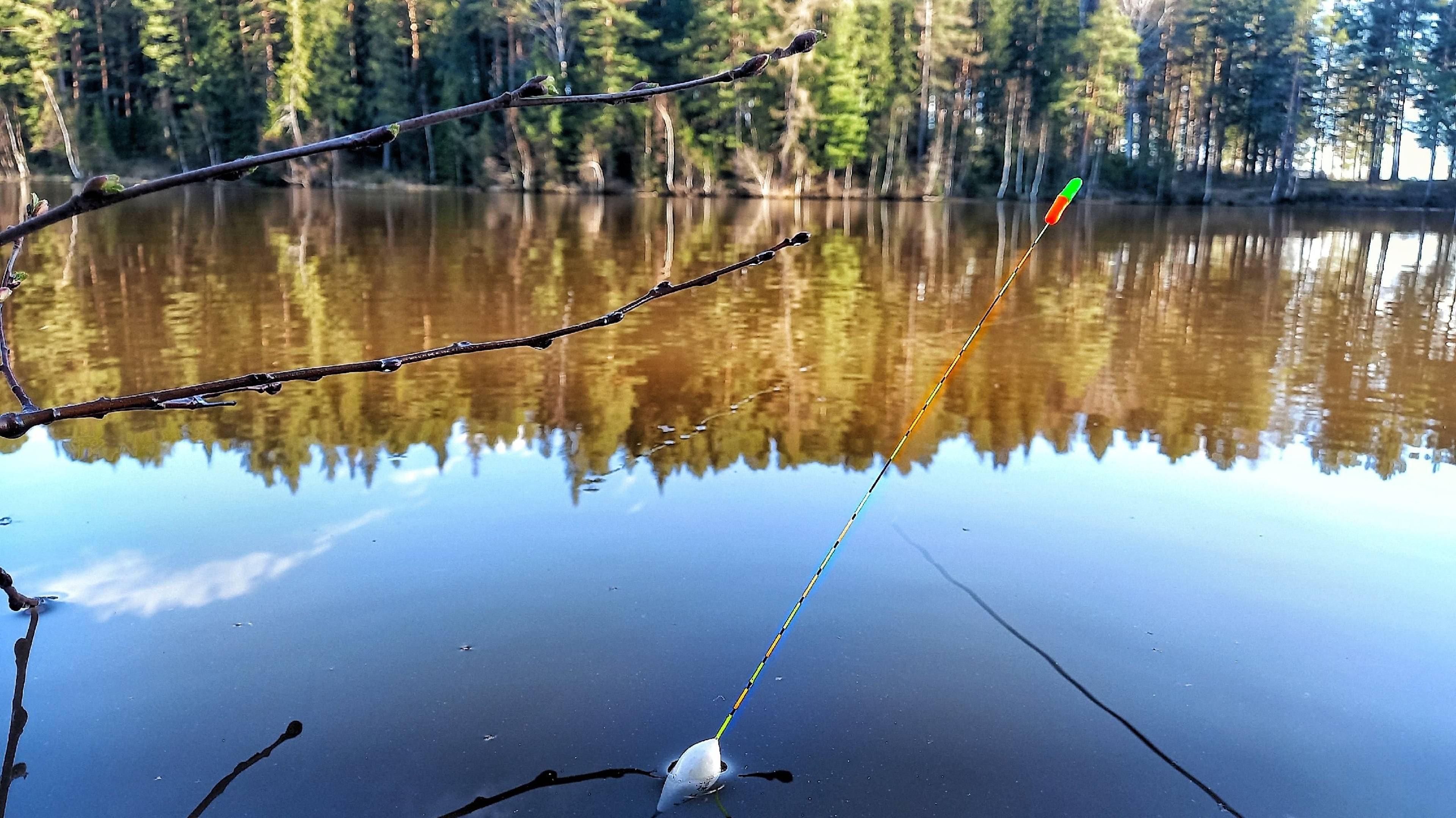 ЗАКИНУЛ УДОЧКУ В ЗАЛИВ И ПОПЛАВОК КТО-ТО ПРИПОДНЯЛ! РЫБАЛКА НА ПОПЛАВОК В МАЕ смотреть онлайн