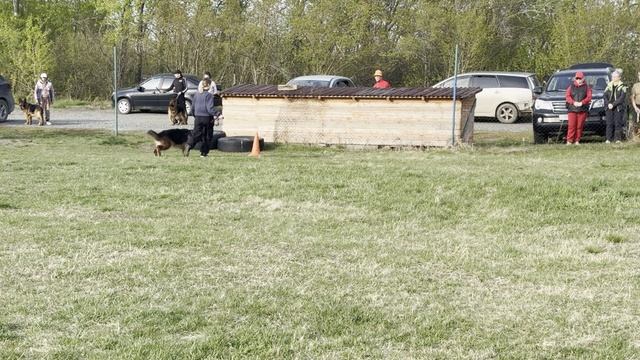 6.  выр/пож АЛЛЕМО ХАУС БЕККИ ДЖИ (Даби Хаус Чекист – АХ Гермиона)