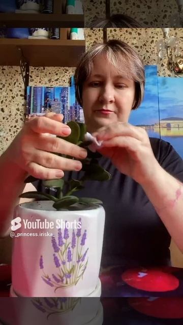 💖༺Ī𝓇Ꭵຮ𝗵𝒌ą༻💖༺Канал обо всем༺💖