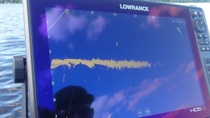 Рыбалка с лайф технологиями! PANOPTIX, ACTIVE TARGET, MEGA LIVE.