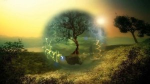 Футаж Дерево жизни. Footage tree of life.