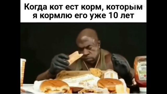 НАРЕЗКА САМЫХ СМЕШНЫХ ВИДОСОВ ЗА НЕДЕЛЮ | ПРИКОЛЫ | Февраль 2021 #1 смотреть онлайн