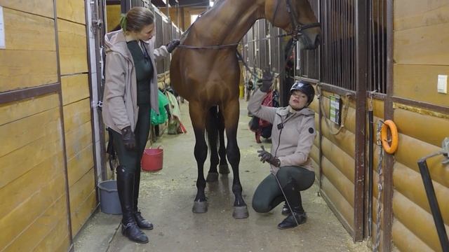 КАК ВЫБРАТЬ ЛОШАДЬ смотреть онлайн