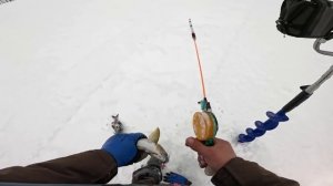 ЗИМА ПРОДОЛЖАЕТСЯ | ХАРИУС | РЫБАЛКА 1 МАЯ | РЕКА СЕВЕРНАЯ