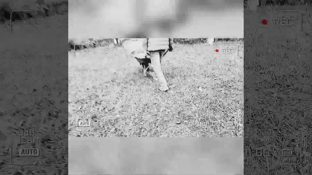 гариби кушт бачата очачонн😔 смотреть онлайн