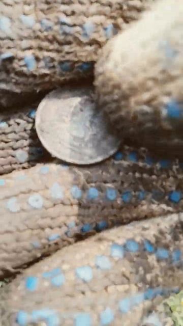 14 мая 2023 г. Quest X5 смотреть онлайн