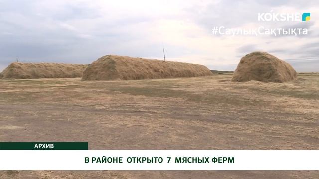 В РАЙОНЕ ОТКРЫТО 7 МЯСНЫХ ФЕРМ смотреть онлайн