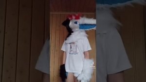 Фурри из тик тока