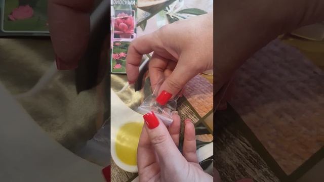 Семена "Лотос орехоносный" смотреть онлайн