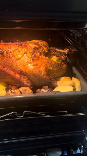Гусь с яблоками замеченный в духовке💖#гусь #гуси #top #vi