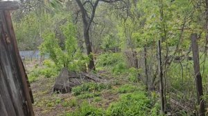 Дом 65,8 м² на участке 10 сот.; Тульская обл., Щёкинский р-н, муниципальное образование Щёкино, Щёки