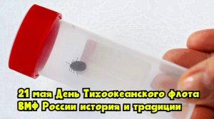 21 мая — День Тихоокеанского флота ВМФ России: история и традиции