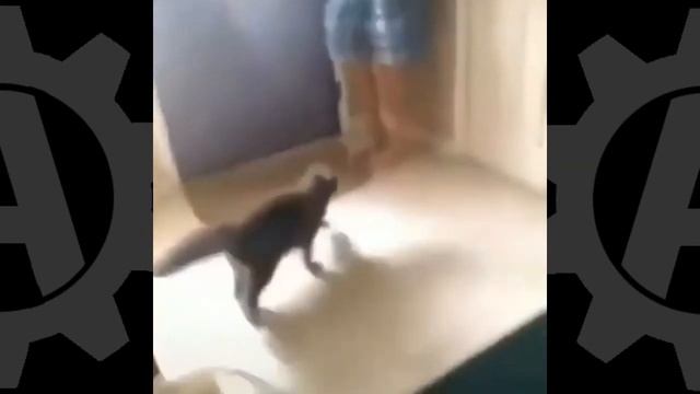 ОРУЩИЕ животное смотреть онлайн