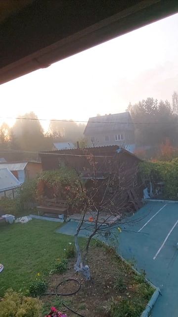Дача🏡/Утро,туман,красота в саду#дача#garden#огород#утро#? смотреть онлайн