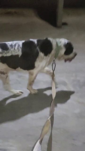 борон 2 йошар смотреть онлайн