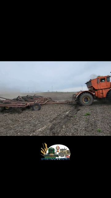 Кировец К-700 с культиватором КПС-9 проходит глубокий ов смотреть онлайн